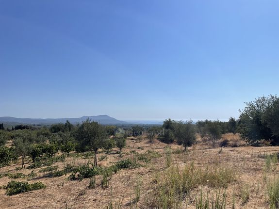 Οικόπεδο 6.340 τ.μ. για πώληση, Μεσσηνία, Χιλιοχώρια