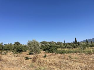 Οικόπεδο 6.340 τ.μ. για πώληση, Μεσσηνία, Χιλιοχώρια-thumb-10
