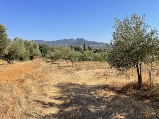 Οικόπεδο 6.340 τ.μ. για πώληση, Μεσσηνία, Χιλιοχώρια-thumb-4