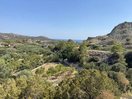 Οικόπεδο 7.500τ.μ. για πώληση-Ιεράπετρα » Μύρτος