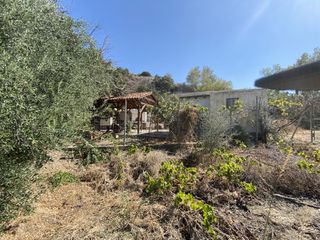 Οικόπεδο 7.500 τ.μ. για πώληση, Ν. Λασιθίου, Ιεράπετρα-thumb-13