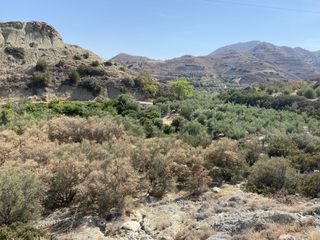 Οικόπεδο 7.500 τ.μ. για πώληση, Ν. Λασιθίου, Ιεράπετρα-thumb-5