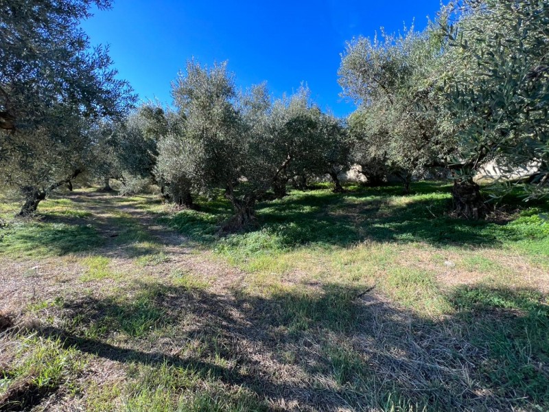 Οικόπεδο 1.156 τ.μ. πρός πώληση, Ν. Χανίων, Πλατανιάς
