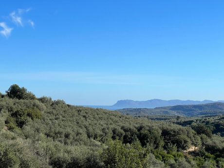 Οικόπεδο 1.156 τ.μ. για πώληση