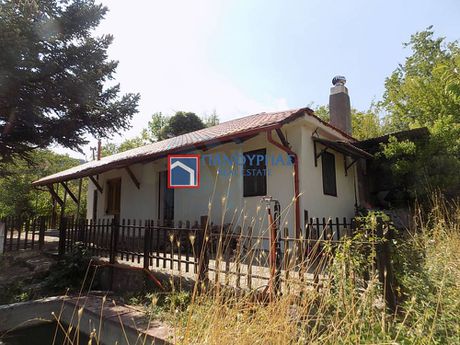 Μονοκατοικία 100 τ.μ. για πώληση