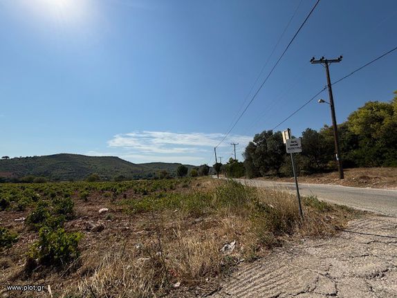 Οικόπεδο 4.900 τ.μ. για πώληση, Αθήνα - Ανατολικά Προάστια, Σπάτα