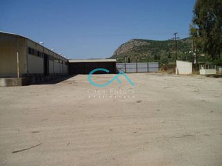 Βιομηχανικός χώρος 3.284 τ.μ. για ενοικίαση, Αργολίδα, Ναύπλιο-thumb-8