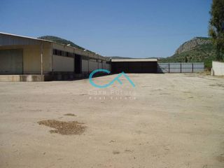 Βιομηχανικός χώρος 3.284 τ.μ. για ενοικίαση, Αργολίδα, Ναύπλιο-thumb-10