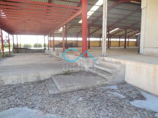 Βιομηχανικός χώρος 3.284 τ.μ. για ενοικίαση, Αργολίδα, Ναύπλιο-thumb-14