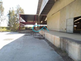 Βιομηχανικός χώρος 3.284 τ.μ. για ενοικίαση, Αργολίδα, Ναύπλιο-thumb-13