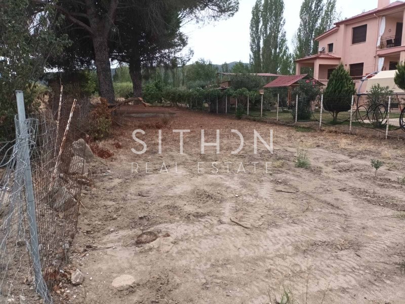 Αγροτεμάχια 348 τ.μ. προς πώληση, Συκιά Τορώνης