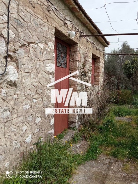 Οικόπεδο 937 τ.μ. προς πώληση, Καινούργιο Θεστιών