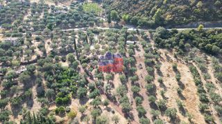 Αγροτεμάχια 6.750 τ.μ. για πώληση