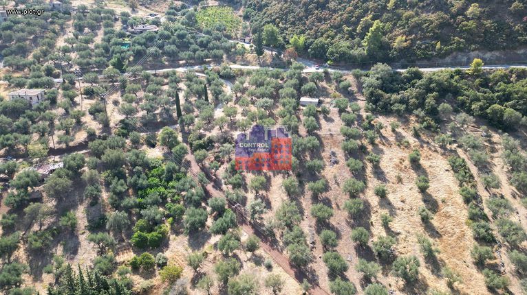Parcel 6.750 sqm for sale, Achaia, Aigio