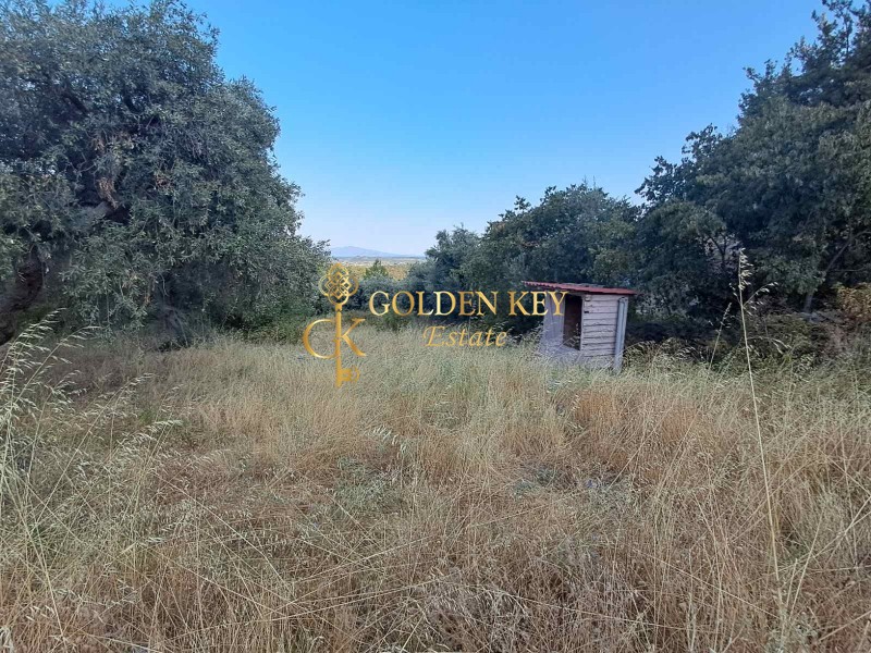 Οικόπεδο 680 τ.μ. για πώληση, Ν. Καβάλας, Ελευθερές