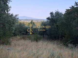 Οικόπεδο 680 τ.μ. για πώληση, Ν. Καβάλας, Ελευθερές-thumb-2