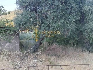 Οικόπεδο 680 τ.μ. για πώληση, Ν. Καβάλας, Ελευθερές-thumb-5