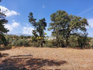 Οικόπεδο 1.108 τ.μ. για πώληση