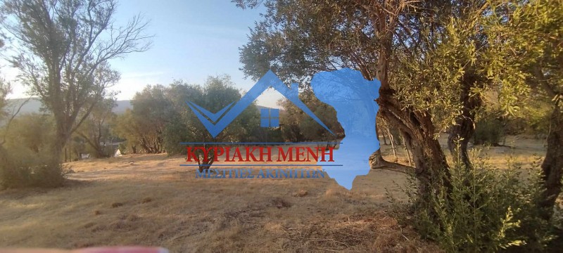 Οικόπεδο 6.000 τ.μ. πρός πώληση, Ν. Χίου, Χίος