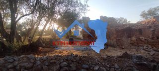 Οικόπεδο 6.000 τ.μ. για πώληση, Ν. Χίου, Χίος-thumb-5