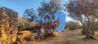 Οικόπεδο 6.000 τ.μ. για πώληση, Ν. Χίου, Χίος-thumb-6