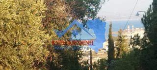 Οικόπεδο 6.000 τ.μ. για πώληση, Ν. Χίου, Χίος-thumb-4