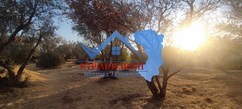 Οικόπεδο 6.000 τ.μ. πρός πώληση, Ν. Χίου, Χίος