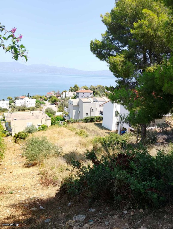 Οικόπεδο 1.040 τ.μ. προς πώληση, Θεολόγος Μαλεσίνας