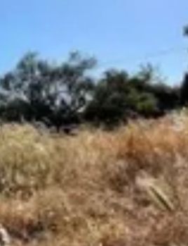 Οικόπεδο 8.400τ.μ. για πώληση-Σέριφος » Συκαμιά