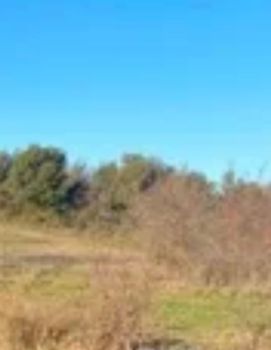 Land plot 10.000sqm for sale-Syros » Poseidonia