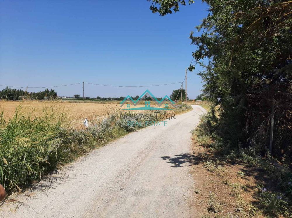 Αγροτεμάχια 7.000 τ.μ. προς πώληση, Νέα Ραιδεστός