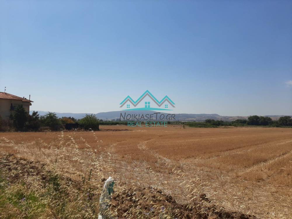 Αγροτεμάχια 7.000 τ.μ. προς πώληση, Νέα Ραιδεστός