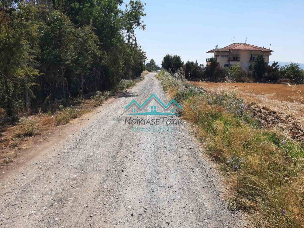 Αγροτεμάχια 7.000 τ.μ. προς πώληση, Νέα Ραιδεστός