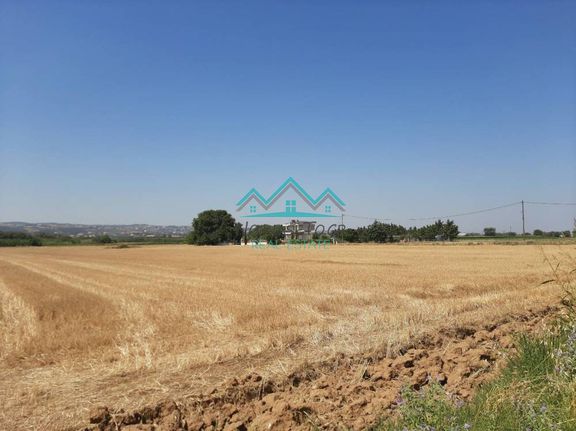 Αγροτεμάχια 7.000 τ.μ. για πώληση, Θεσσαλονίκη - Περιφ/Κοί Δήμοι, Θέρμη