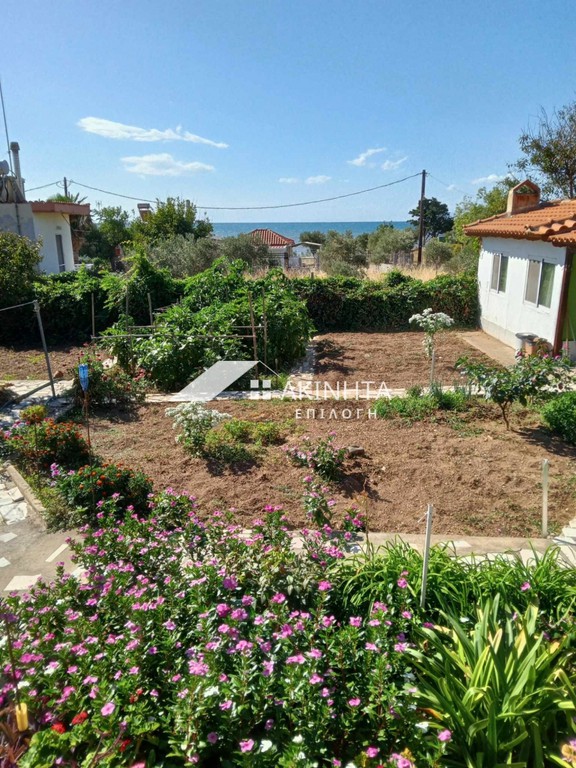 Μονοκατοικία 55 τ.μ. πρός πώληση, Εβρος, Αλεξανδρούπολη