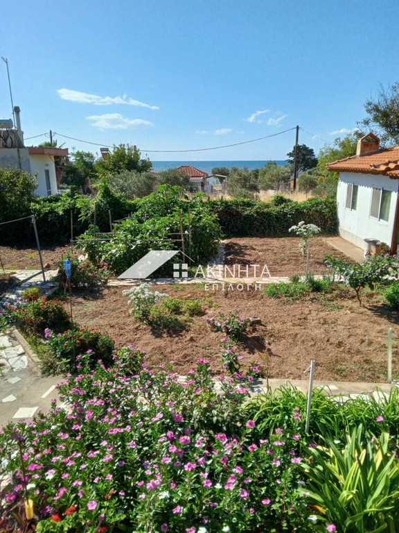 Μονοκατοικία 55 τ.μ. πρός πώληση, Εβρος, Αλεξανδρούπολη
