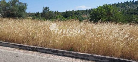 Οικόπεδο 2.500τ.μ. για πώληση-Κ. καπανδριτίου » Καπανδρίτι