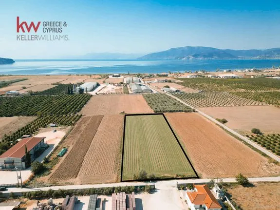 Parcel 7.600 sqm for sale, Argolis, Nea Kios