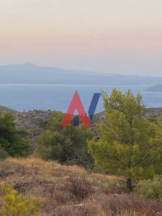 Αγροτεμάχια 11.000 τ.μ. για πώληση, Αθήνα - Ανατολικά Προάστια, Γραμματικό