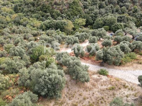 Parcel 4.050sqm for sale-Skiathos » Kalivia