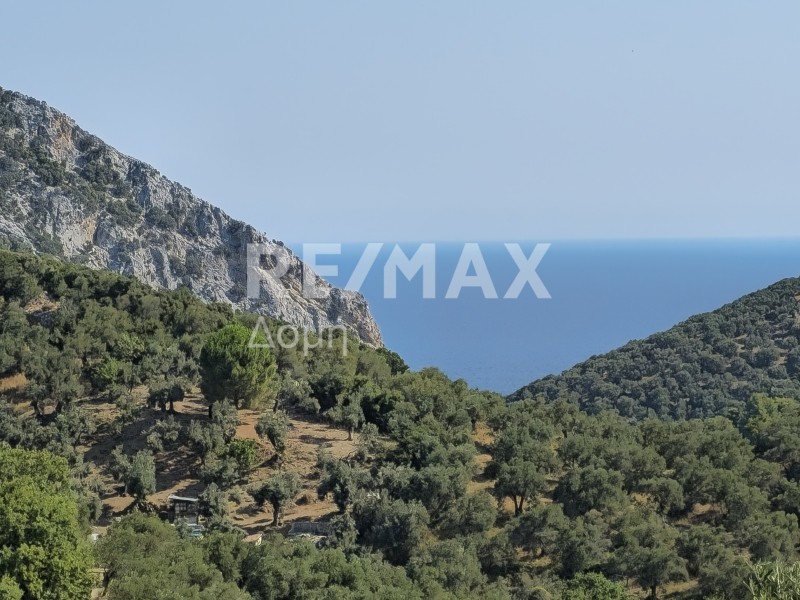 Αγροτεμάχια 4.050 τ.μ. προς πώληση, Καλύβια Σκιάθου