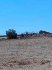 Οικόπεδο 37.000 τ.μ. για πώληση