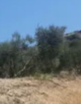 Οικόπεδο 17.000 τ.μ. για πώληση
