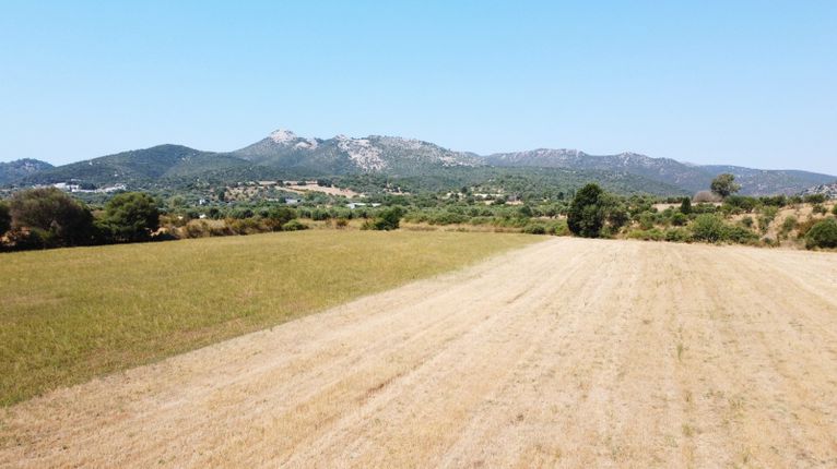 Αγροτεμάχια 63.000 τ.μ. για πώληση, Αιτωλοακαρνανία, Κεκροπία (παλαίρου)