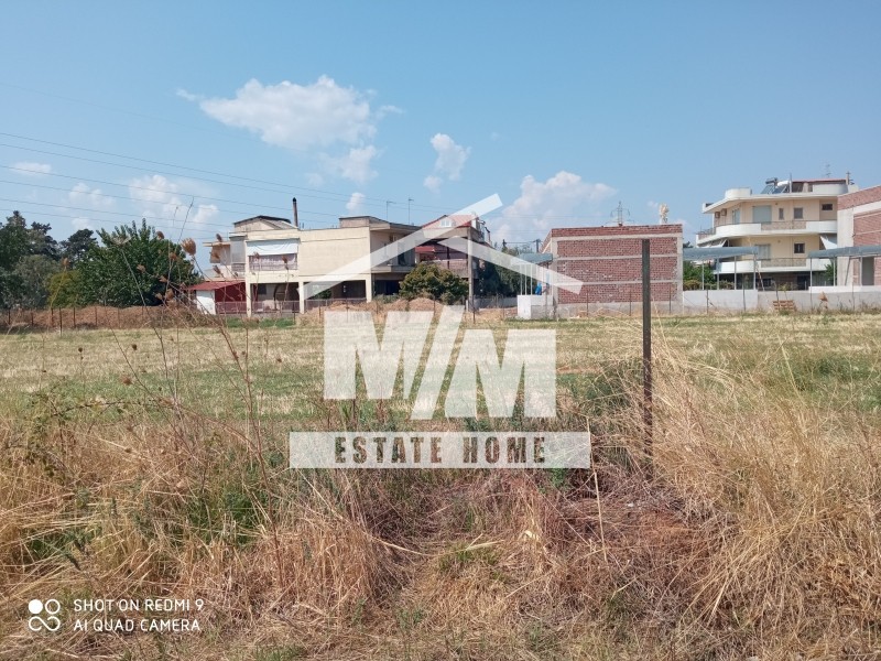 Οικόπεδο 546 τ.μ. προς πώληση, Γιαννούζι