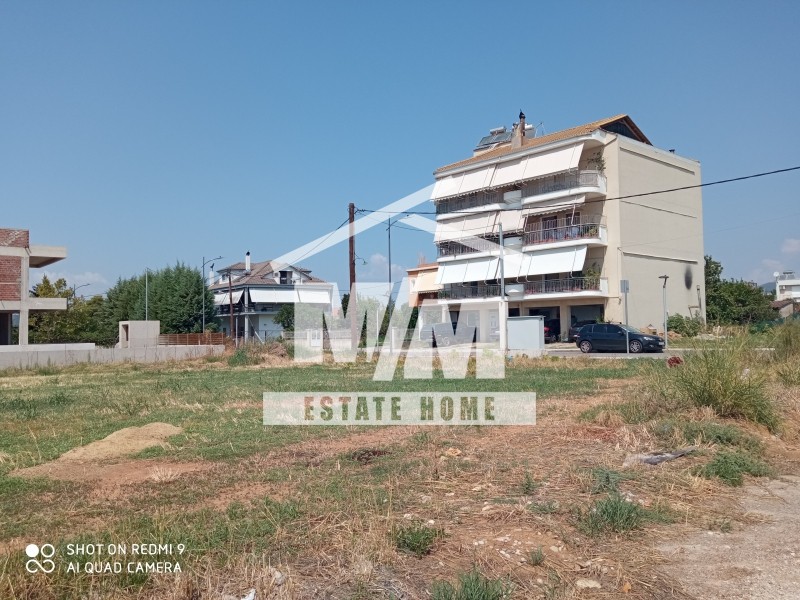 Οικόπεδο 546 τ.μ. προς πώληση, Γιαννούζι