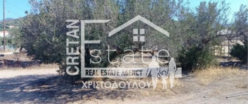 Οικόπεδο 685 τ.μ. πρός πώληση, Ν. Λασιθίου, Ιεράπετρα