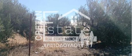 Οικόπεδο 685τ.μ. για πώληση-Ιεράπετρα » Φέρμα