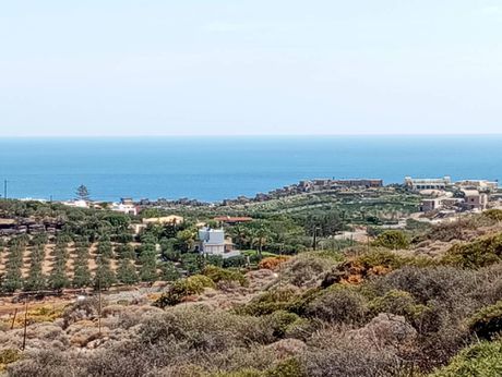 Οικόπεδο 6.500 τ.μ. για πώληση