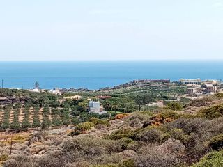 Οικόπεδο 6.500 τ.μ. για πώληση